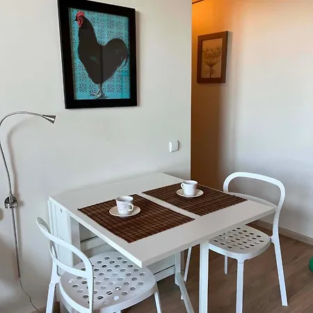 2 Miegamuju Kambariu Apartamentai Palangos Centre Su Vaiku Zaidimo Aikstele Połąga